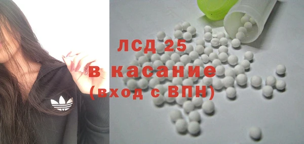 винт Алзамай
