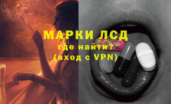 винт Алзамай