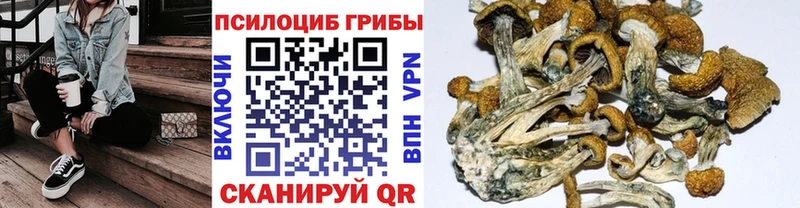 Псилоцибиновые грибы прущие грибы  Ачинск 